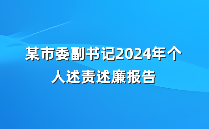 某市委副书记2024年个人述责述廉报告