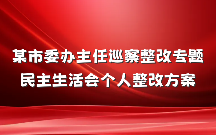 某市委办主任巡察整改专题民主生活会个人整改方案