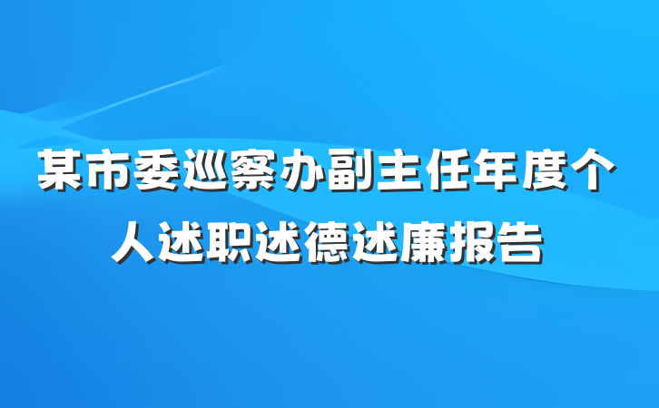 某市委巡察办副主任年度个人述职述德述廉报告