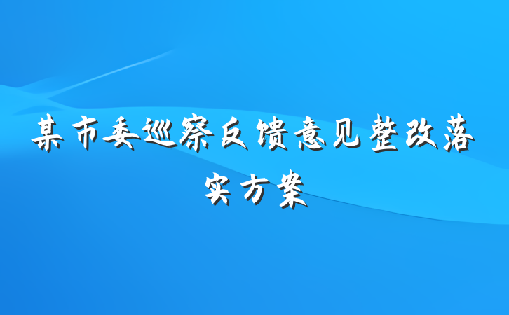 某市委巡察反馈意见整改落实方案