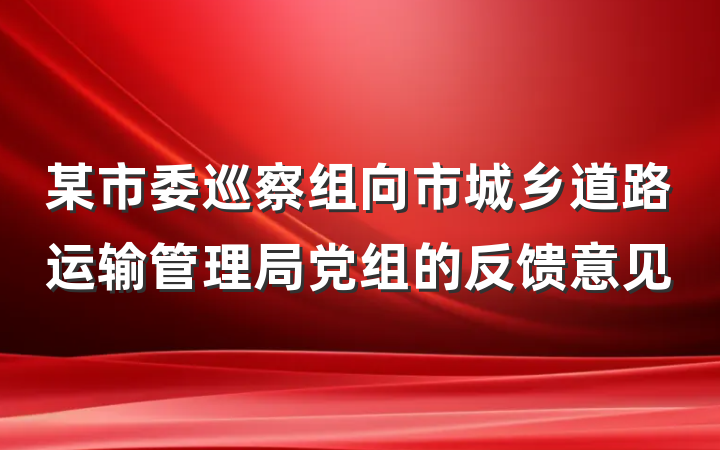 某市委巡察组向市城乡道路运输管理局党组的反馈意见