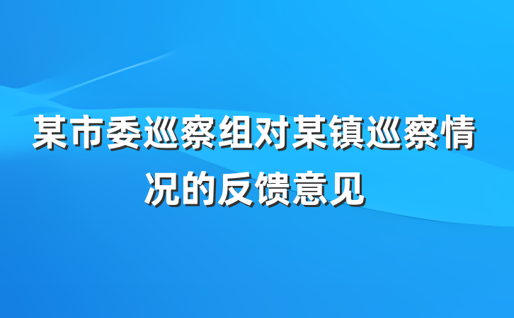 某市委巡察组对某镇巡察情况的反馈意见