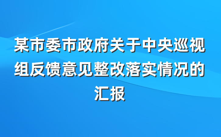 某市委市政府关于中央巡视组反馈意见整改落实情况的汇报