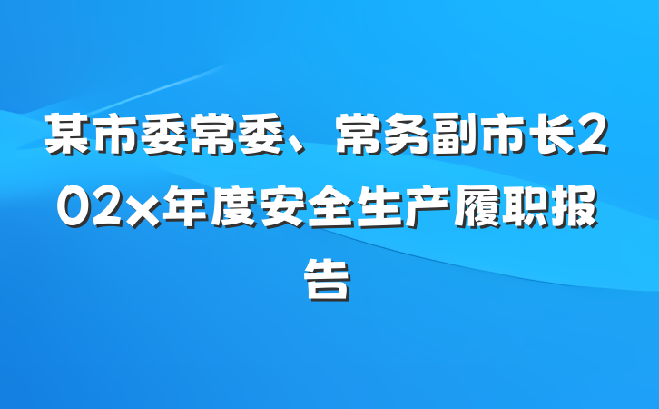 某市委常委、常务副市长202x年度安全生产履职报告