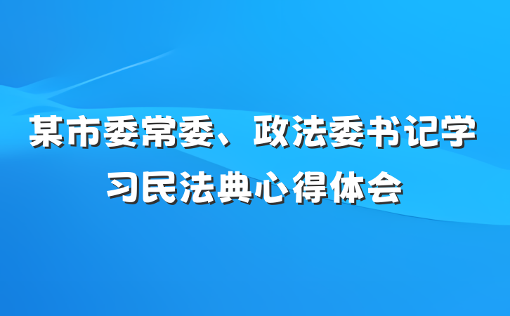 某市委常委、政法委书记学习民法典心得体会