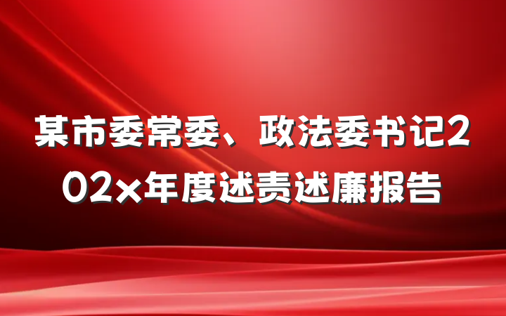 某市委常委、政法委书记202x年度述责述廉报告