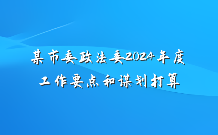 某市委政法委2024年度工作要点和谋划打算