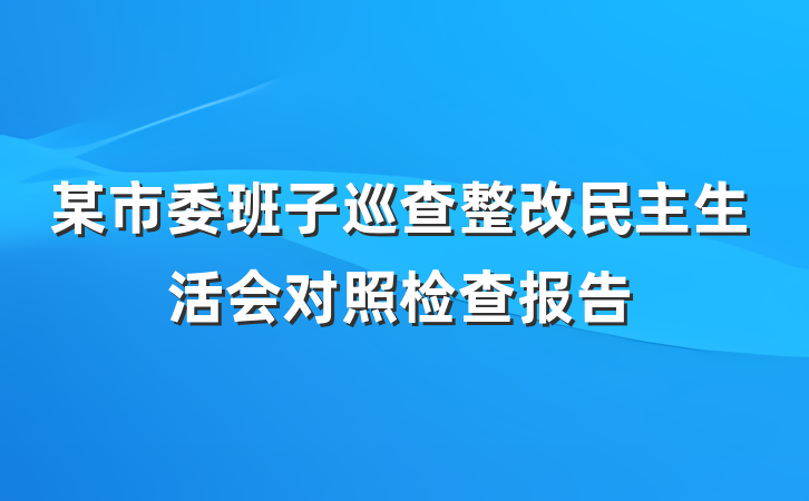 某市委班子巡查整改民主生活会对照检查报告