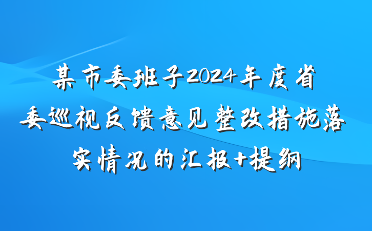 某市委班子2024年度省委巡视反馈意见整改措施落实情况的汇报 提纲