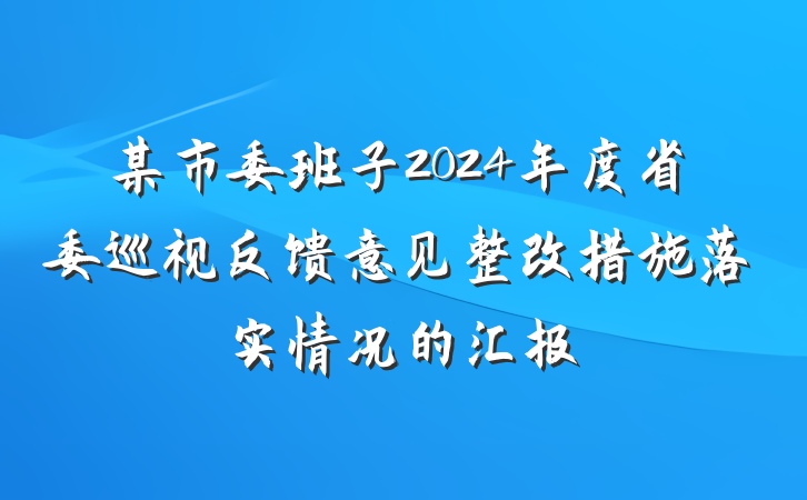 某市委班子2024年度省委巡视反馈意见整改措施落实情况的汇报