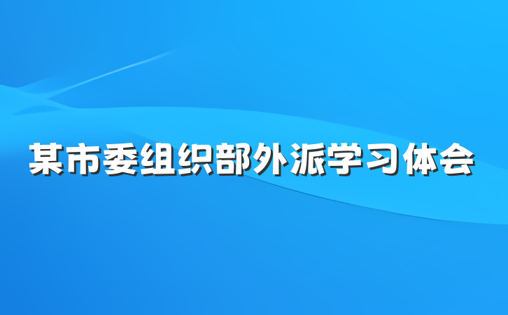 某市委组织部外派学习体会