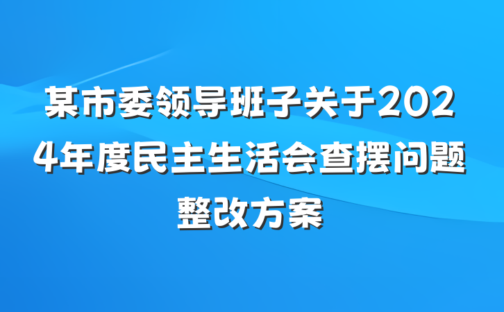 某市委领导班子关于2024年度民主生活会查摆问题整改方案