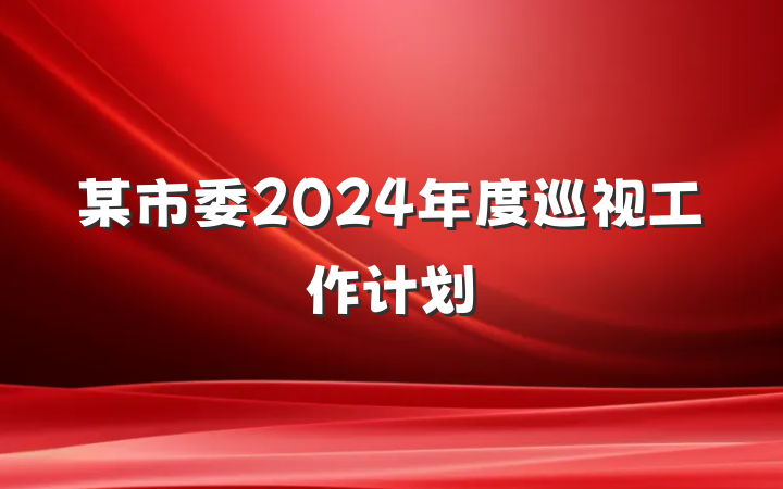 某市委2024年度巡视工作计划