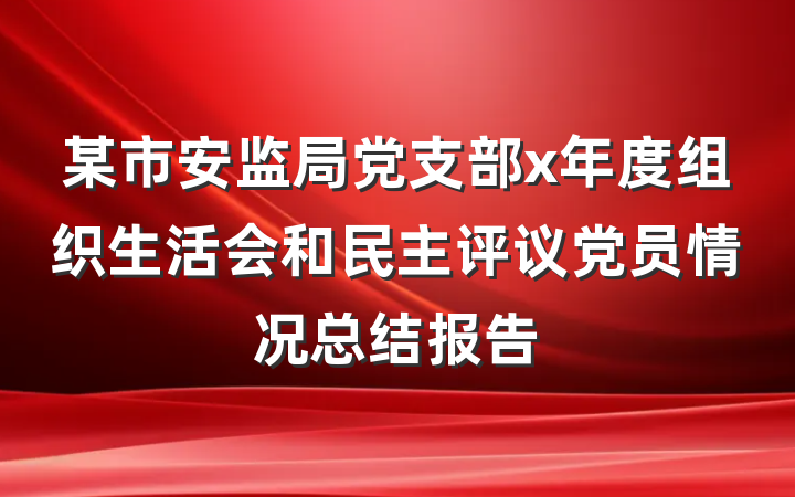 某市安监局党支部x年度组织生活会和民主评议党员情况总结报告