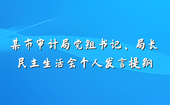 某市审计局党组书记、局长民主生活会个人发言提纲