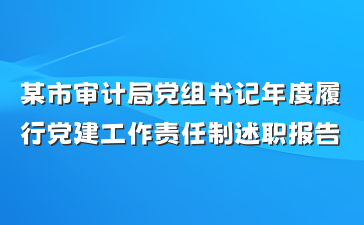 某市审计局党组书记年度履行党建工作责任制述职报告