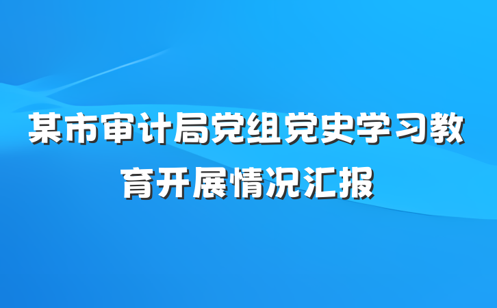 某市审计局党组党史学习教育开展情况汇报