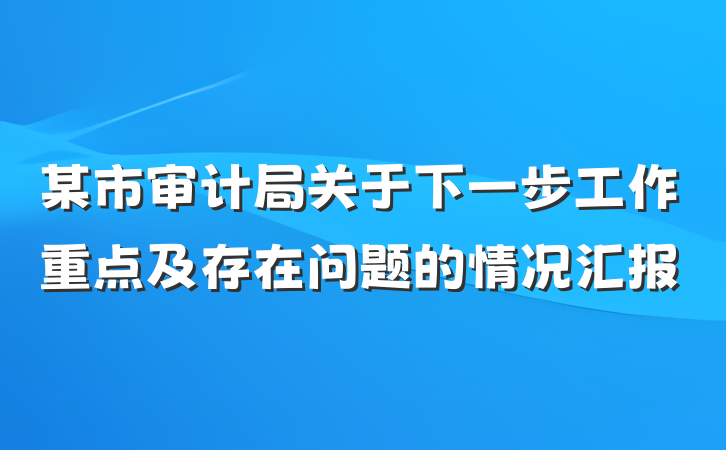 某市审计局关于下一步工作重点及存在问题的情况汇报