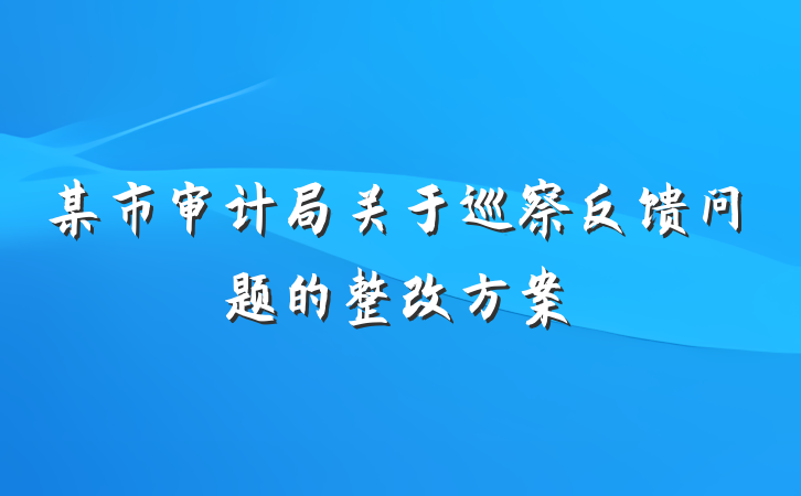 某市审计局关于巡察反馈问题的整改方案