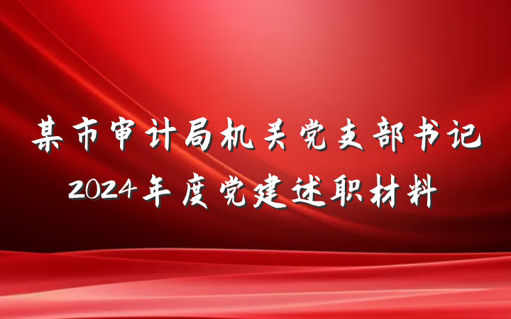 某市审计局机关党支部书记2024年度党建述职材料