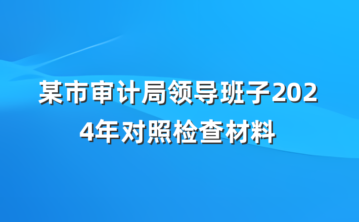 某市审计局领导班子2024年对照检查材料