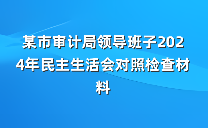 某市审计局领导班子2024年民主生活会对照检查材料