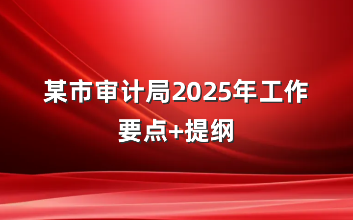 某市审计局2025年工作要点 提纲