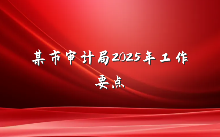 某市审计局2025年工作要点