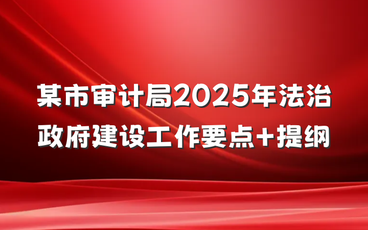 某市审计局2025年法治政府建设工作要点 提纲