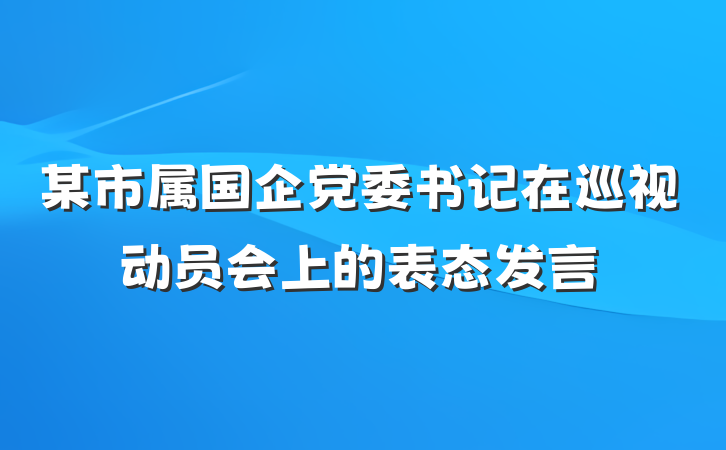 某市属国企党委书记在巡视动员会上的表态发言