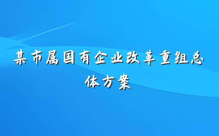 某市属国有企业改革重组总体方案