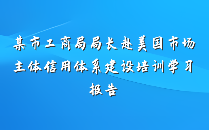 某市工商局局长赴美国市场主体信用体系建设培训学习报告