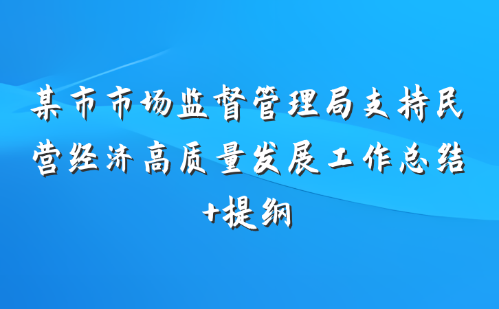 某市市场监督管理局支持民营经济高质量发展工作总结 提纲