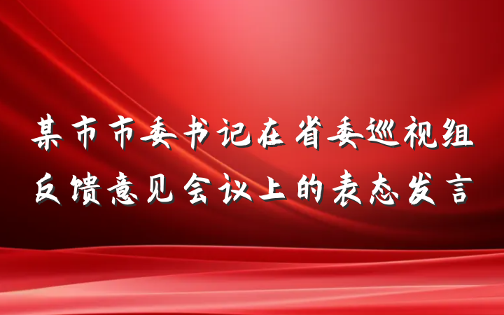 某市市委书记在省委巡视组反馈意见会议上的表态发言