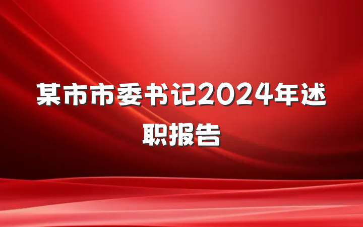 某市市委书记2024年述职报告