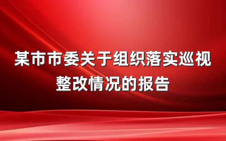 某市市委关于组织落实巡视整改情况的报告