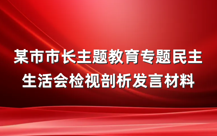 某市市长主题教育专题民主生活会检视剖析发言材料
