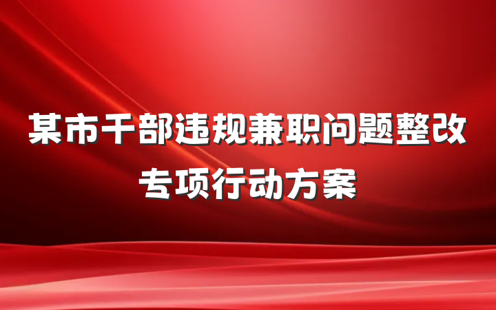 某市干部违规兼职问题整改专项行动方案
