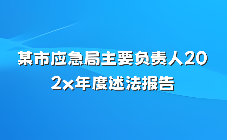 某市应急局主要负责人202x年度述法报告