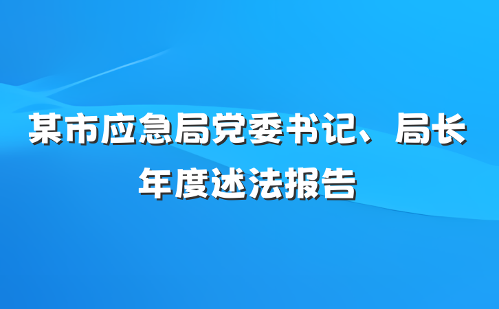 某市应急局党委书记、局长年度述法报告