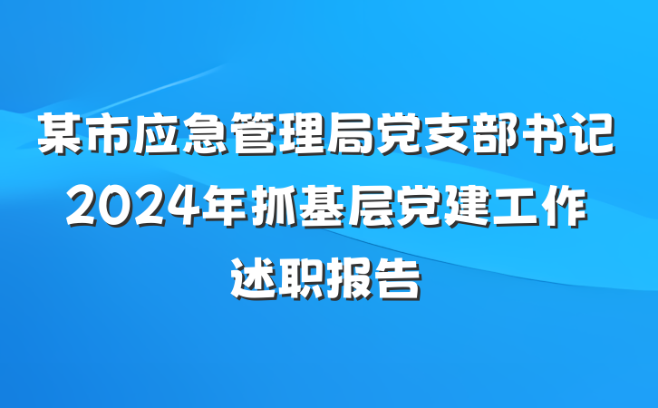 某市应急管理局党支部书记2024年抓基层党建工作述职报告