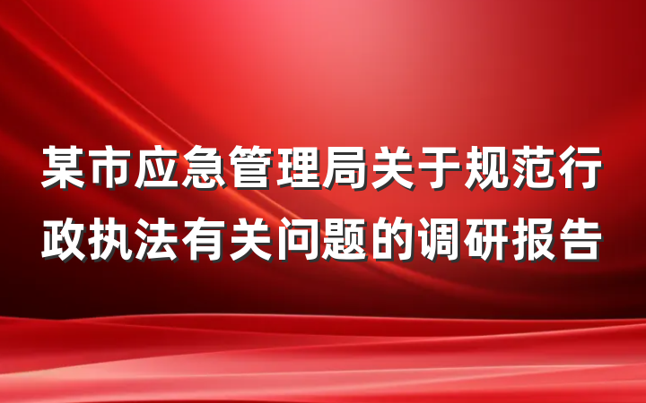 某市应急管理局关于规范行政执法有关问题的调研报告