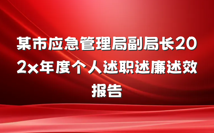 某市应急管理局副局长202x年度个人述职述廉述效报告