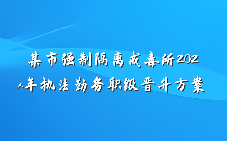 某市强制隔离戒毒所202x年执法勤务职级晋升方案