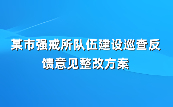 某市强戒所队伍建设巡查反馈意见整改方案