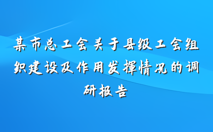 某市总工会关于县级工会组织建设及作用发挥情况的调研报告