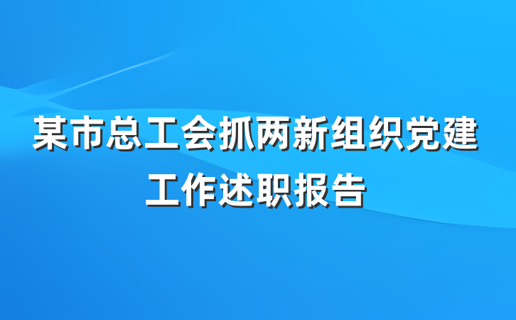 某市总工会抓两新组织党建工作述职报告