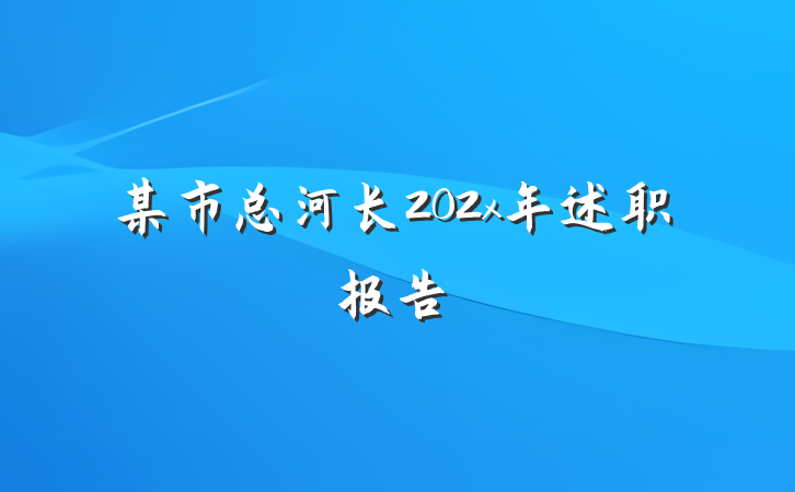 某市总河长202x年述职报告