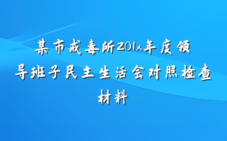 某市戒毒所201x年度领导班子民主生活会对照检查材料