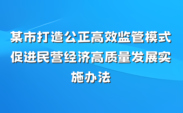 某市打造公正高效监管模式促进民营经济高质量发展实施办法